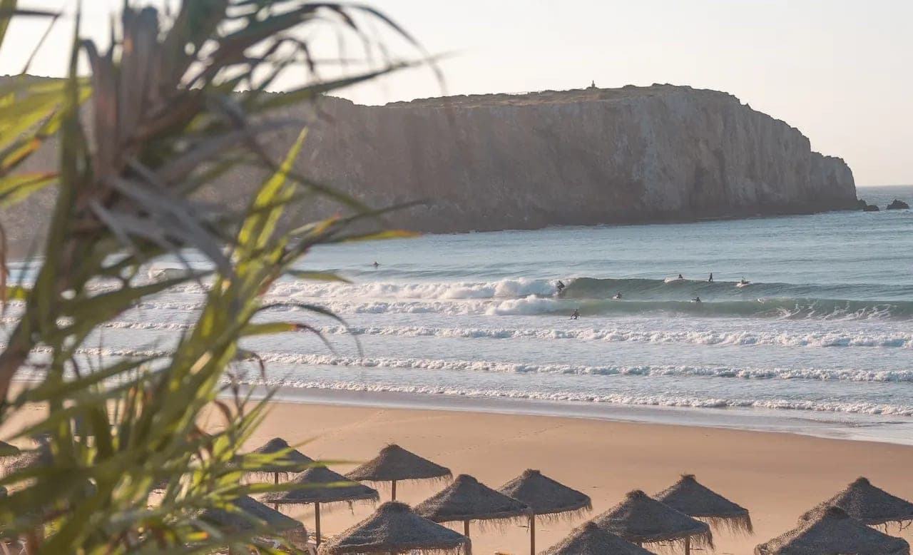Surf — Lemontree Eco Surfhouse