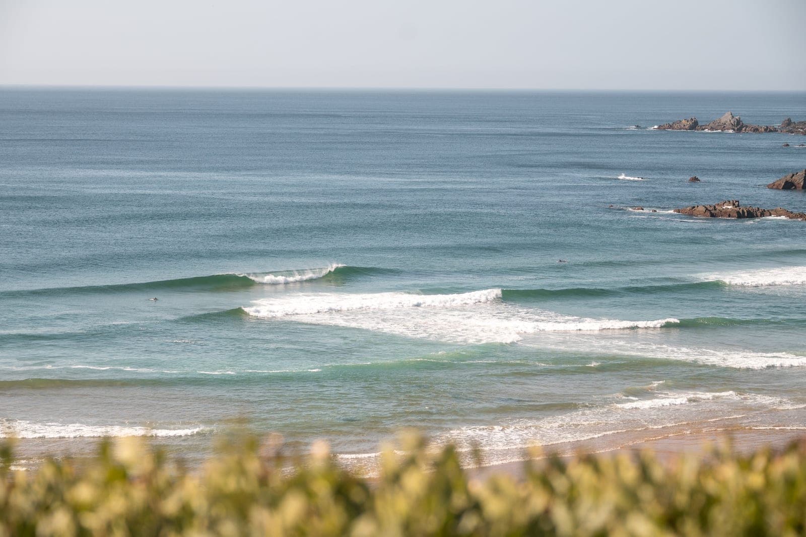 Surf — Lemontree Eco Surfhouse