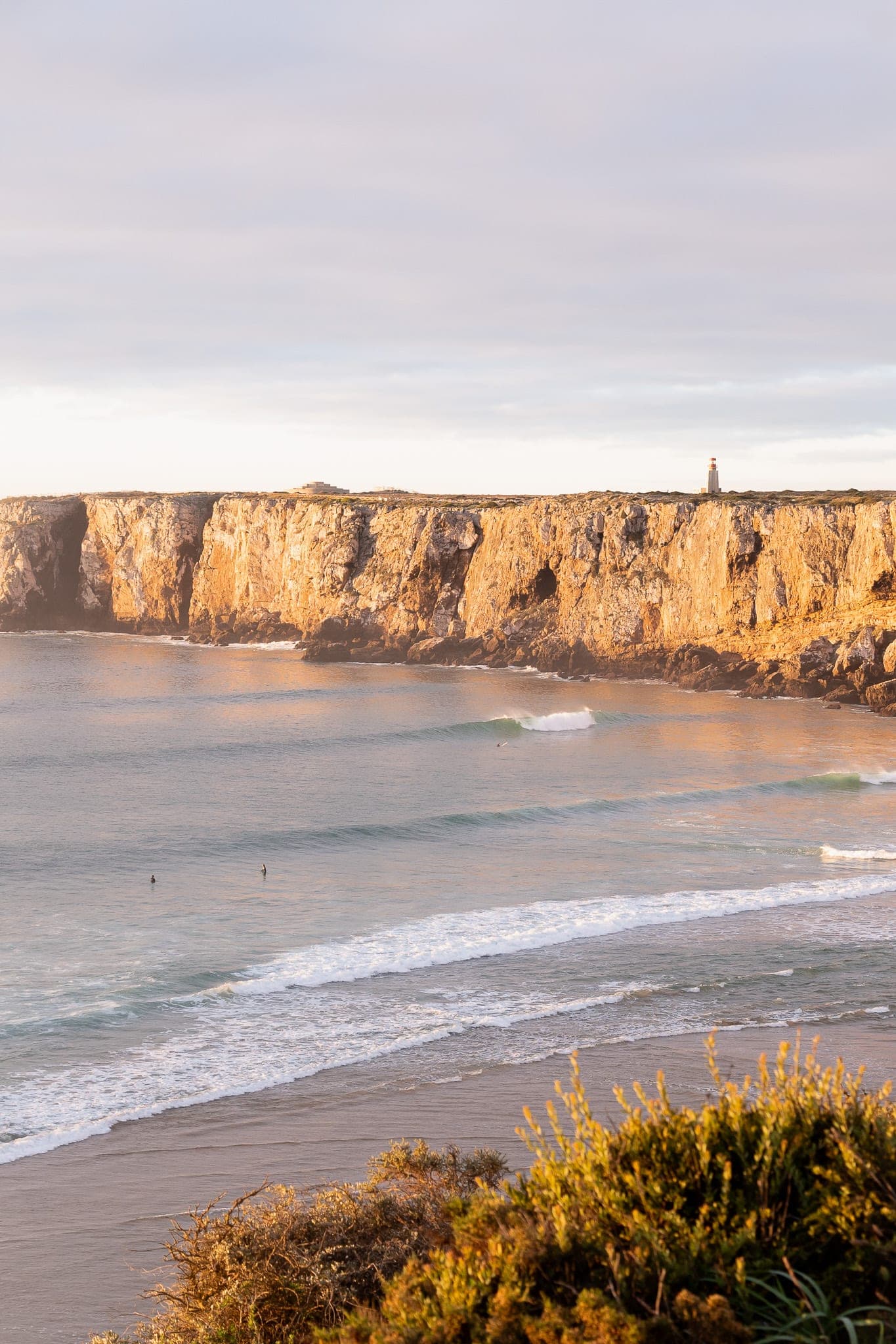 Surf — Lemontree Eco Surfhouse
