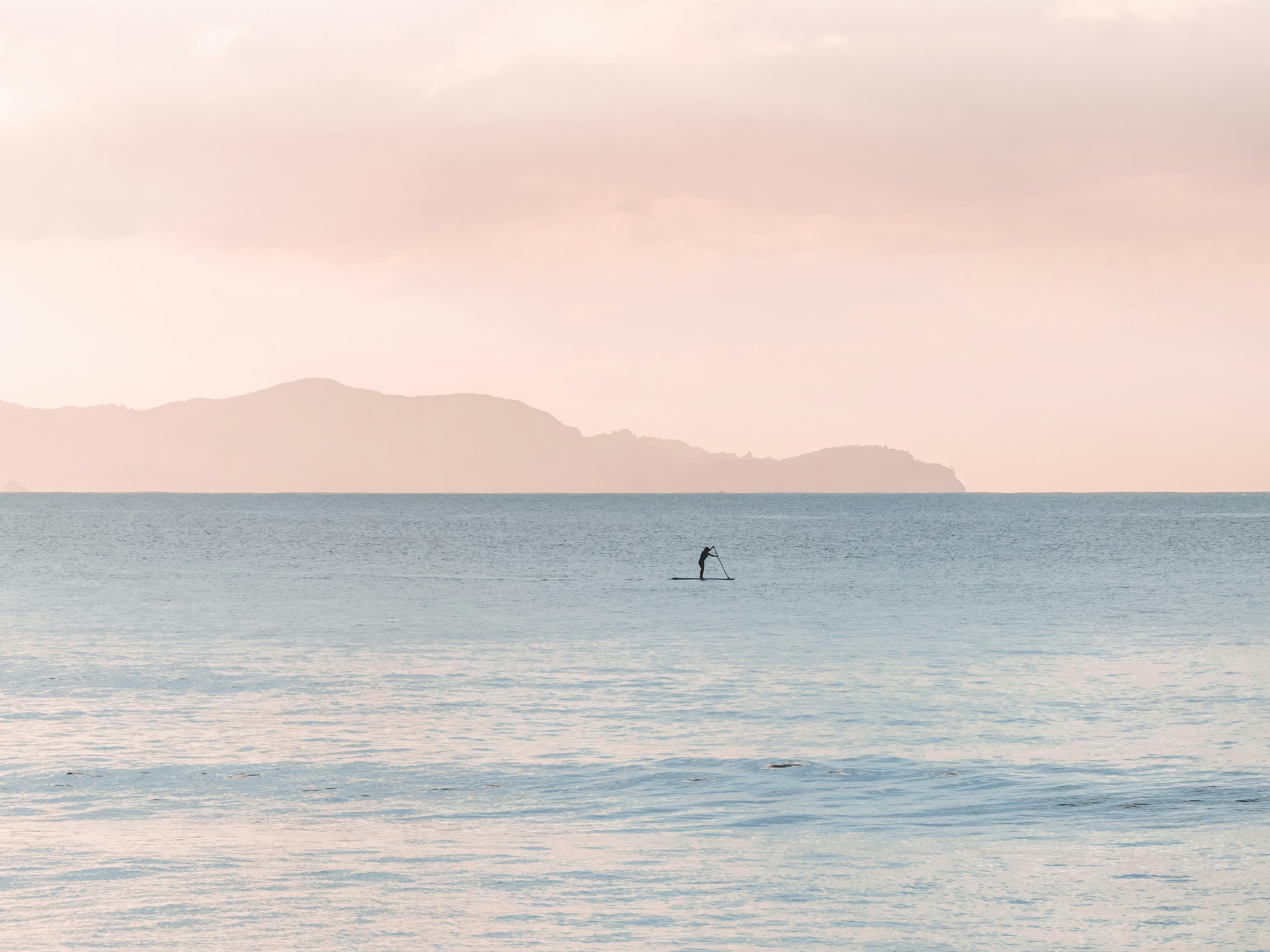 Surf — Surf House Ericeira