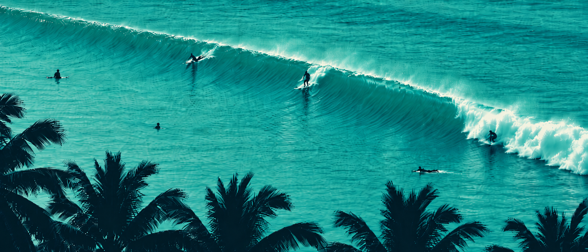 Surfers riding a wave, seen from above through palm trees